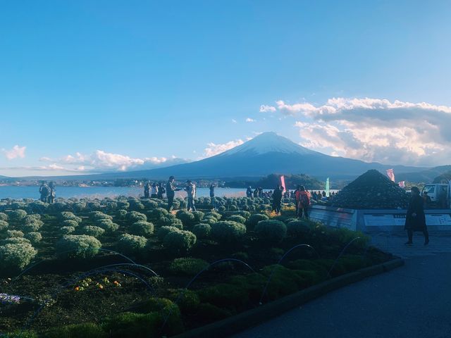 Up Close to Mt Fuji at Sunset