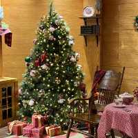 來自芬蘭聖誕老人村🎅🏻 寄明信片比聖誕老人☺️