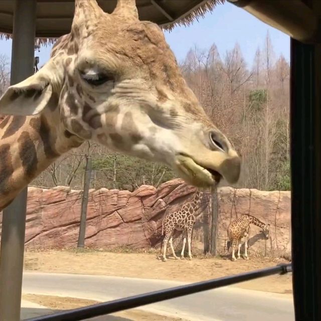 主題樂園🤓