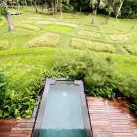 "Plunge Pool” กับวิวไร่ชา..นาขั้นบันได 