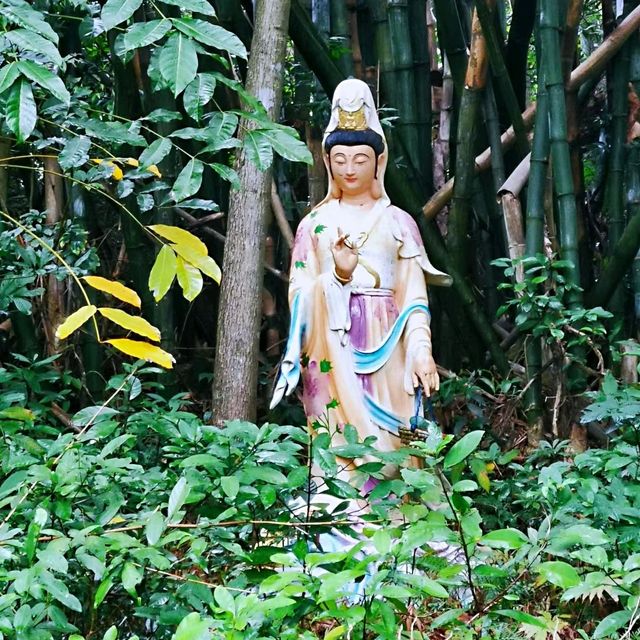 一條梵音裊裊的密林小路