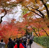 京都[紅葉めぐり]  永観堂[禅林寺]  (感動の庭園編)