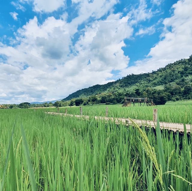 สะพานทุ่งนาแห่งร่องเขานครชุม