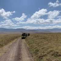 Wildlifes at their best, Ngorongoro
