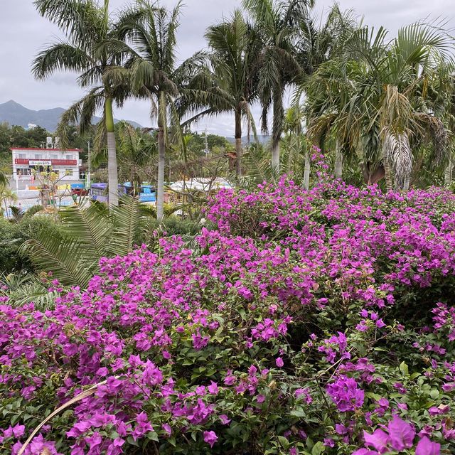 【沖縄･本島】南国の植物を楽しめる可愛い施設