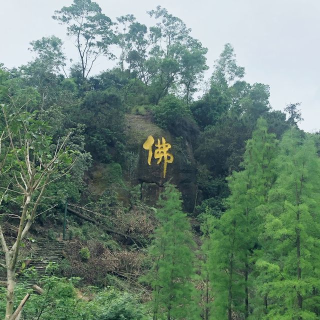 悠閒佛山短途之旅😚