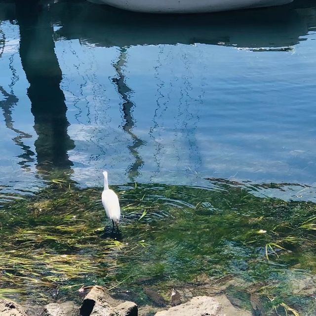 美國貝伍德公園（Baywood park)
