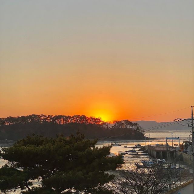 태안 바베큐 가능한 감성숙소, 만조스테이🏠