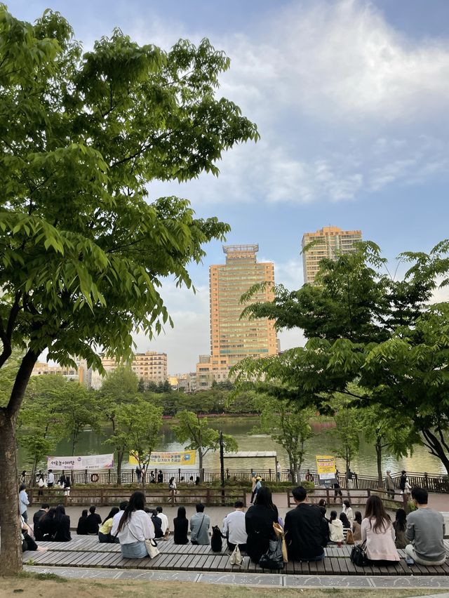 벚꽃 졌다고 안 가기 너무 아쉬운 석촌호수