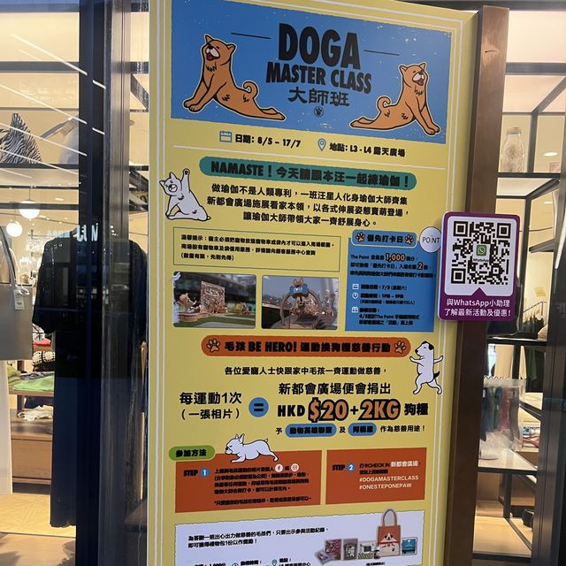 🐶狗狗都可以一齊做運動啦！