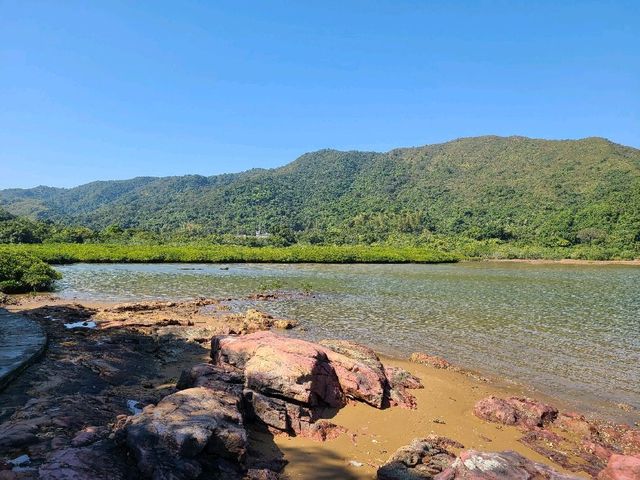 有生之年系列~荔枝窩🏝️
