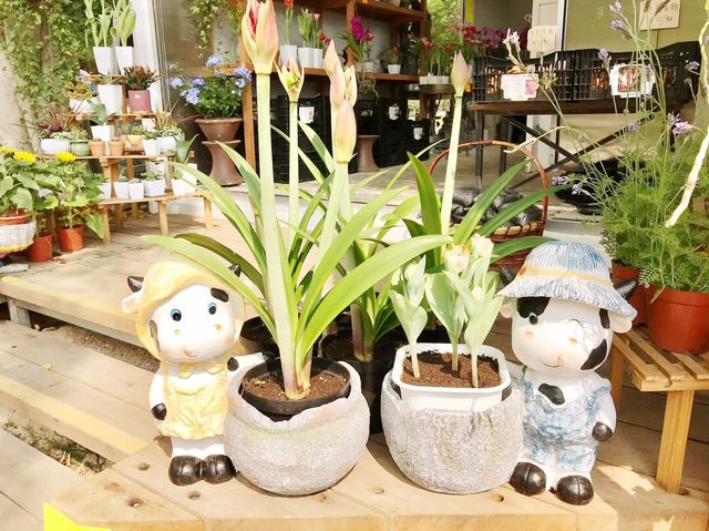 大埔小白鷺餐廳