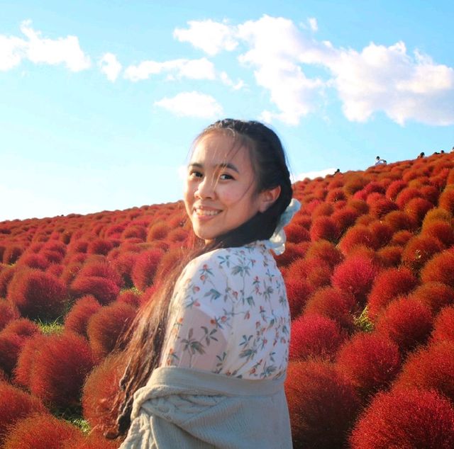 #Kochia in Autumn