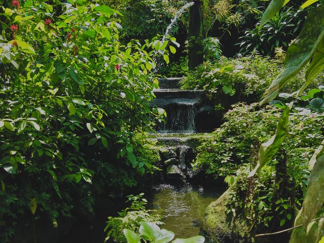 A Wonderland at Kuala Lumpur Butterfly Park 