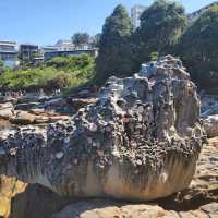 [호주여행] 본다이비치 조각전, Sculpture by the sea