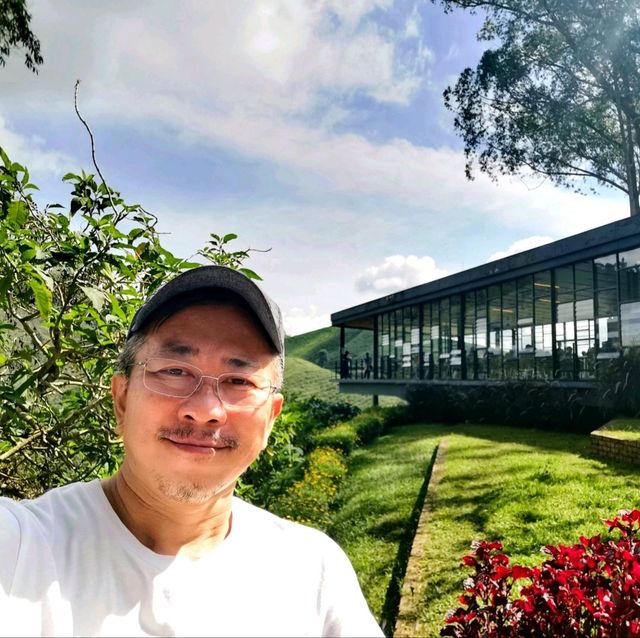 Picturesque café at Tea Plantation 🍃☕