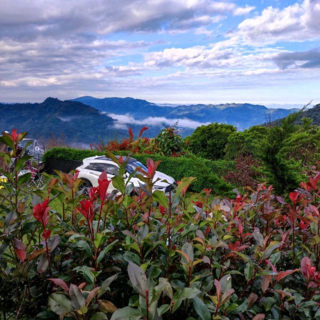 苗栗目上景露營區