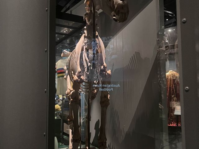 What’s inside the Perth Museum!