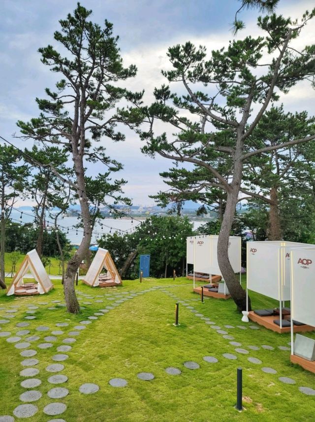 피크닉 감성 울산 간절곶 오션뷰카페 AOP🏡