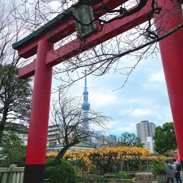 【東京】鳥居から眺めるスカイツリー