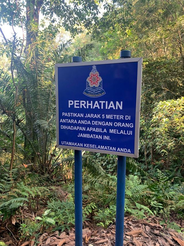 Suspension Bridge, Bukit Gasing 🥰