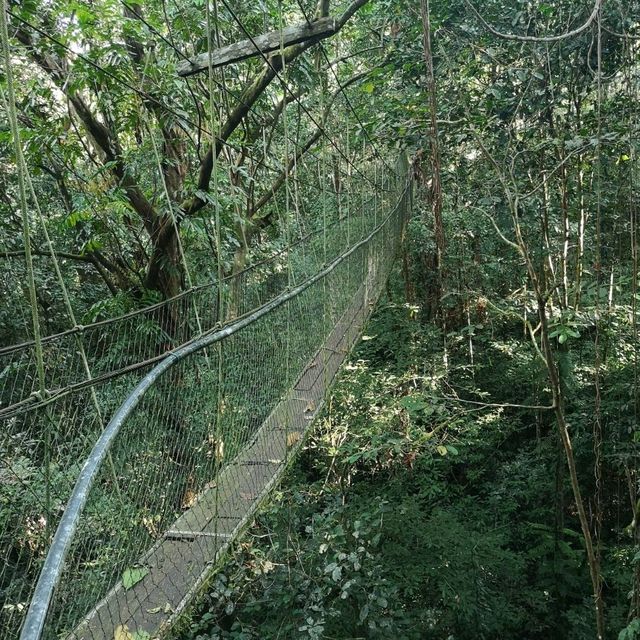 MULU NATIONAL PARK 