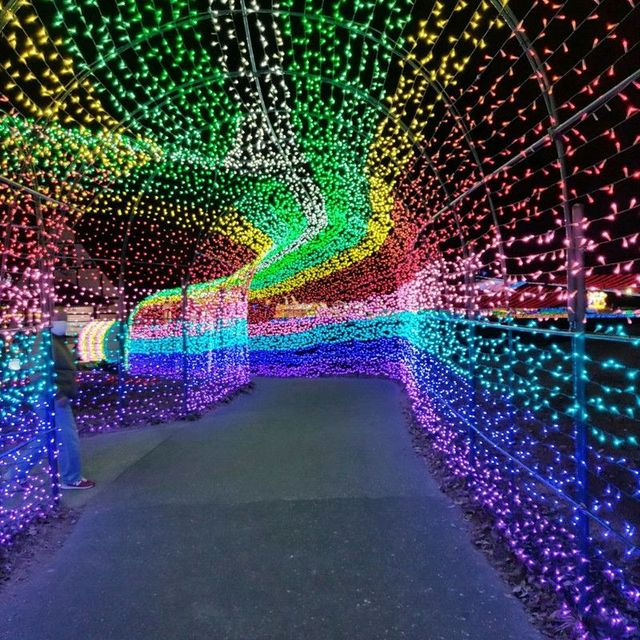 千葉県！ドイツ村のイルミネーションその③