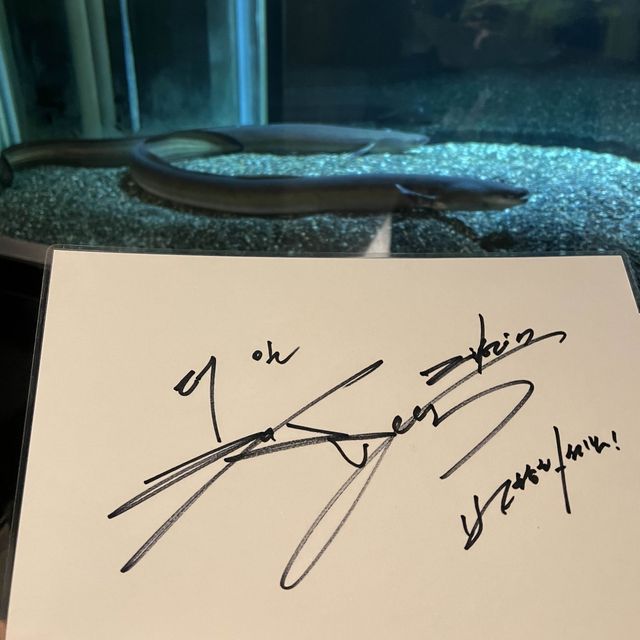 韓国狎鴎亭の鰻屋さんチャン・グンソクさん足跡