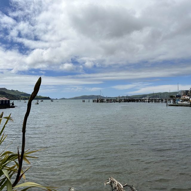 NZ 紐西蘭 南島 但尼丁 Careys Bay Historic Hotel 