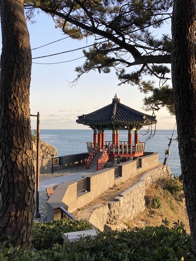 부산여행 꼭 가봐야할 곳