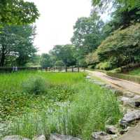 Great Calm Green Space 