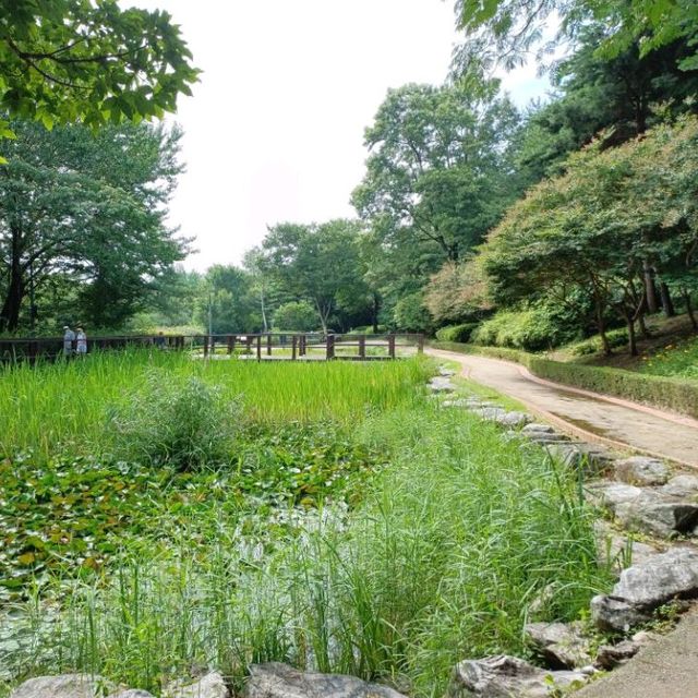 Great Calm Green Space 