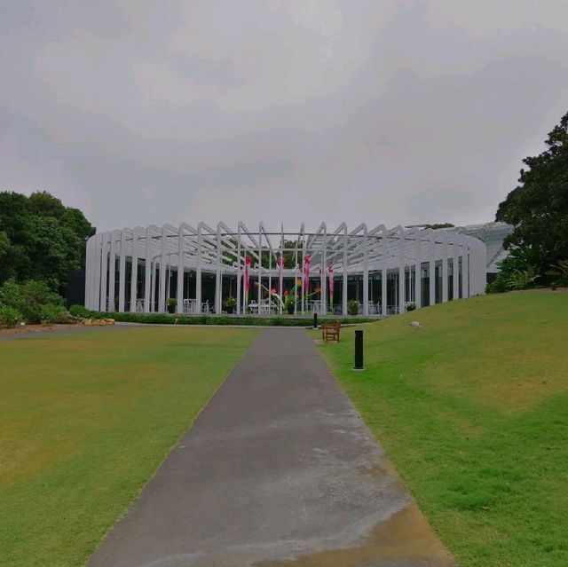 Royal Botanic Garden in Sydney 