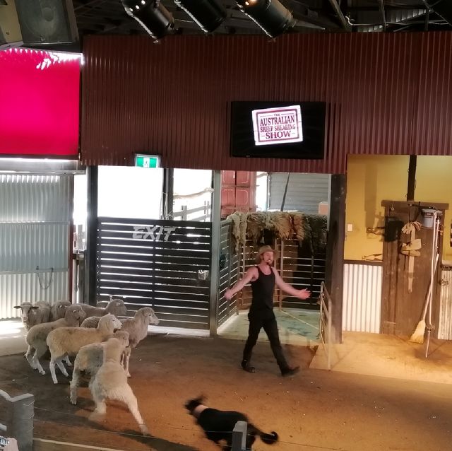Dreamworld Australia 