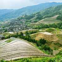 longsheng Rice terrace during May day holiday