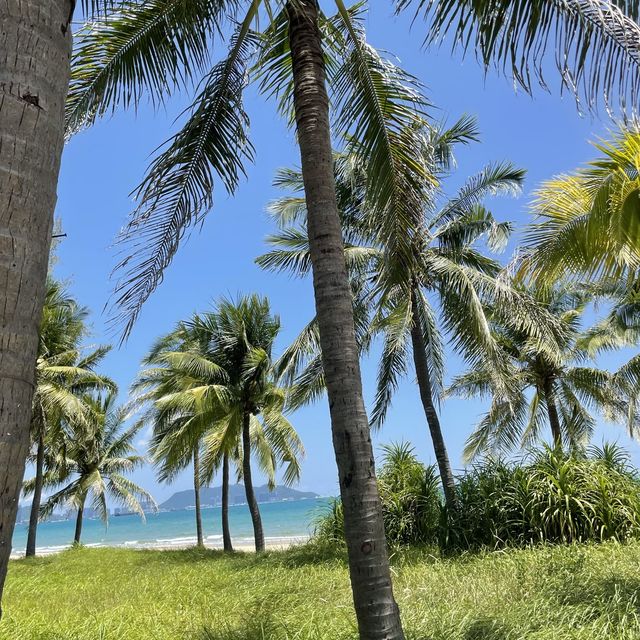 Lovely quiet beach ~Coconut Dream Corridor 