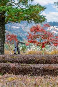 원주 여행지 '뮤지엄 산'