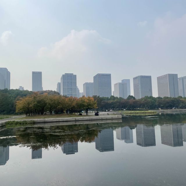 Shangxian river wetlands 