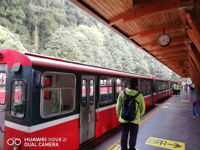阿里山看日出