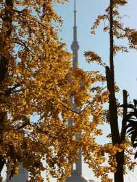 Winter Perspective of the Pearl Tower🧡🍁