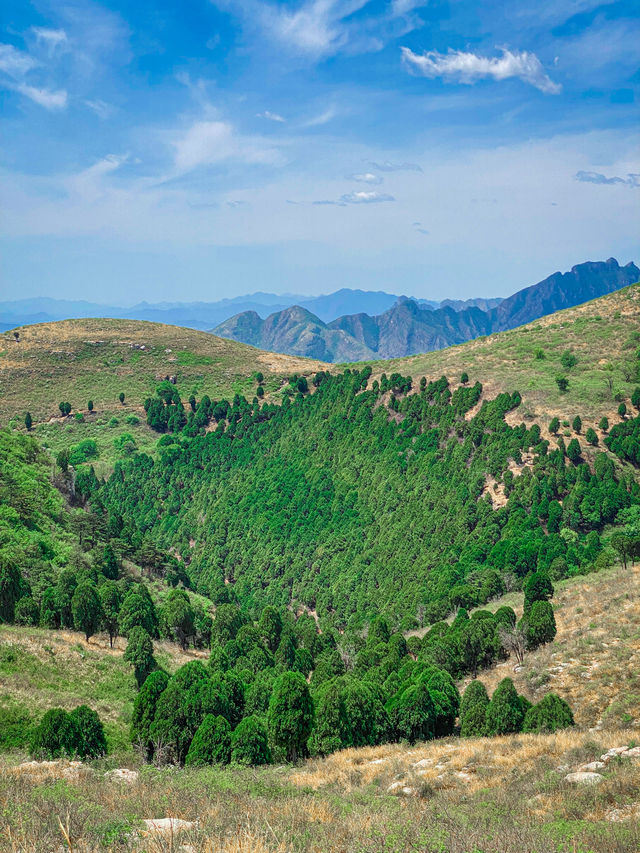 Beijing Hiking | Exploring the Dragon Palace Mountain Stone Array and Discovering the Thousand-Year Flower Tower.