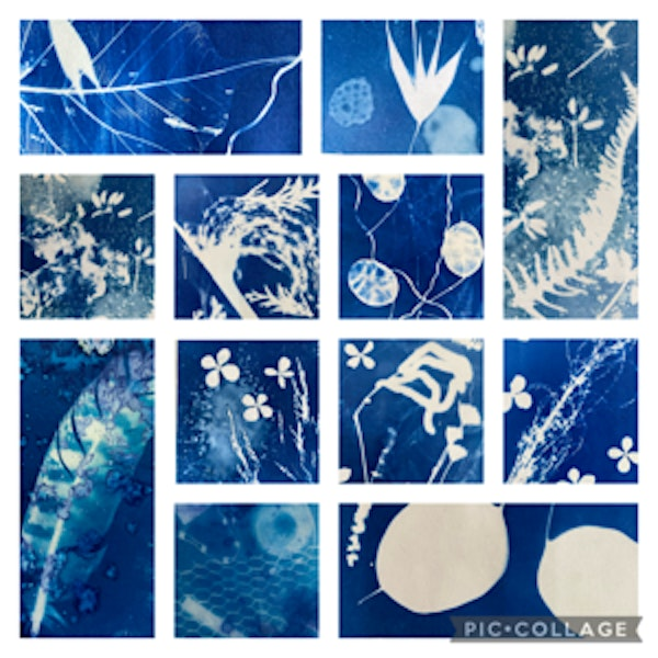 Reconnect with Cyanotype Printing (ECC2806) | Carlton Marshes Nature Reserve & Visitor Centre