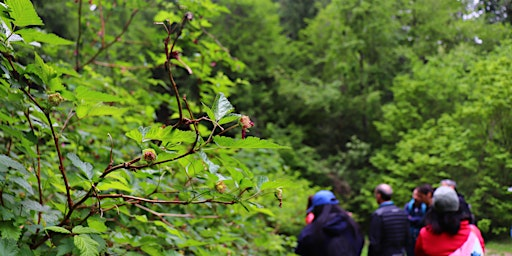 Burnaby Foraging Workshop- May 24, 2025 | Robert Burnaby Park
