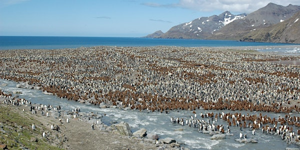 Science at South Georgia  - Our July AGM Event | British Antarctic Survey