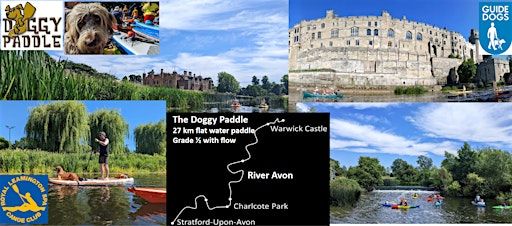 Doggy Paddle 2025 | Elizabeth Park