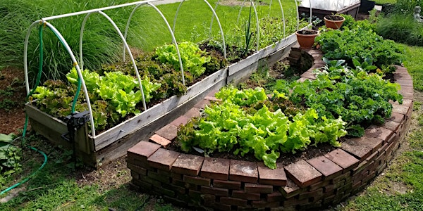Deep Roots Garden Walk | 323 S East Ave