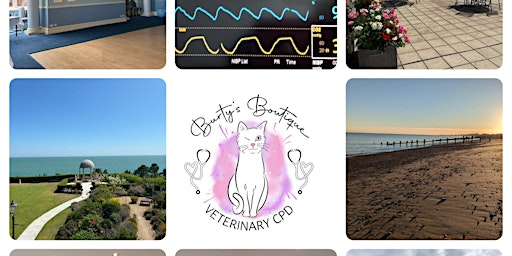 Burty's Boutique CPD by the Sea- a Day of Anaesthesia Monitoring | Hydro Hotel Eastbourne