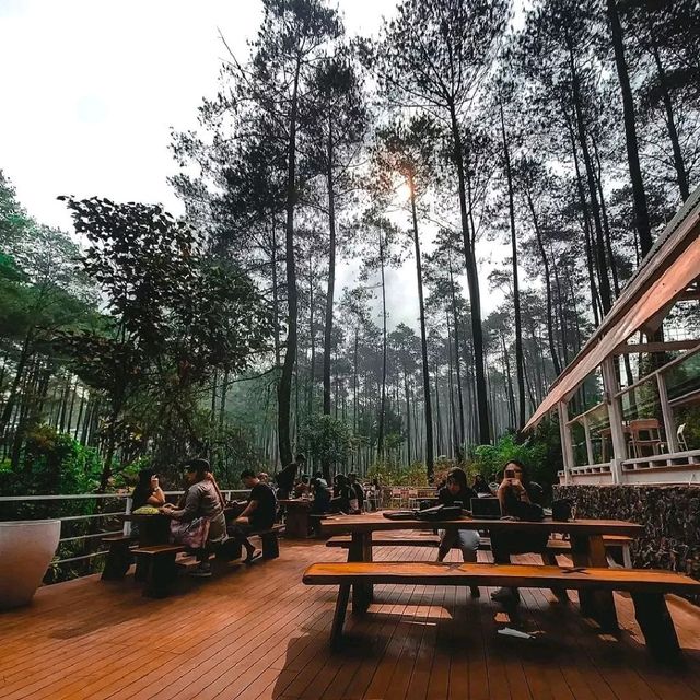 TANGKUBAN MOUNTAIN COFFE - LEMBANG