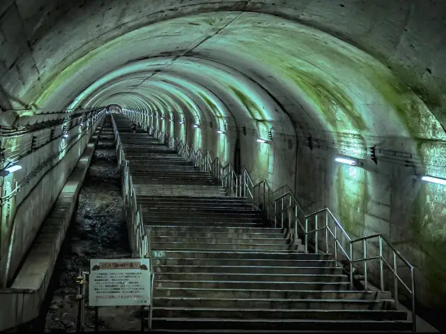 [Gunma] Japan's No. 1 Mole Station🚉