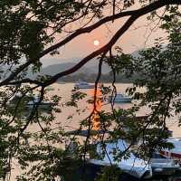 親子好去處：大尾篤行山騎單車撐船仔